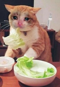 Lechuga empaquetada