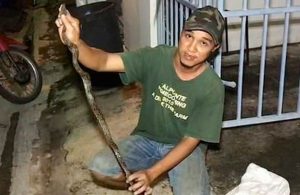 Serpiente muerde a joven en su parte íntima