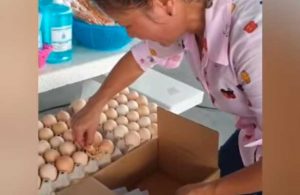 #VideoViral: Nace pollito en cartón de huevos que ya se encontraba a la venta