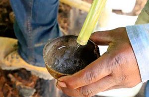Mezcal: 7 datos que te harán todo un conocedor del elixir de los dioses