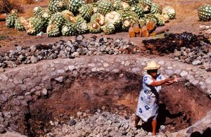 Mezcal: 7 datos que te harán todo un conocedor del elixir de los dioses