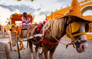¡Hermosa! 😍 Pequeña norteamericana se viraliza por vestir traje yucateco
