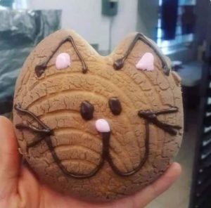 Michiconchas, el rico pan que se vende con el objetivo de ayudar a los gatitos