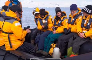 Pingüino salta a una lancha y se salva de ser comido por grupo de orcas