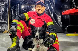 ¡Indignante! Envenenan a Athos y Tango, perritos rescatistas de la Cruz Roja Mexicana