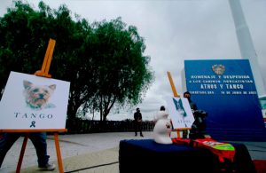 Catean domicilio de presunto responsable del envenenamiento de Athos y Tango