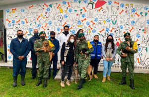 Personal del Ejército Mexicano convierte escuela en albergue para perritos
