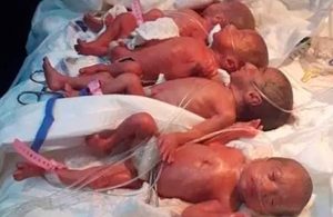 Mujer da a luz a 9 bebés, revela que utilizan 100 pañales al día