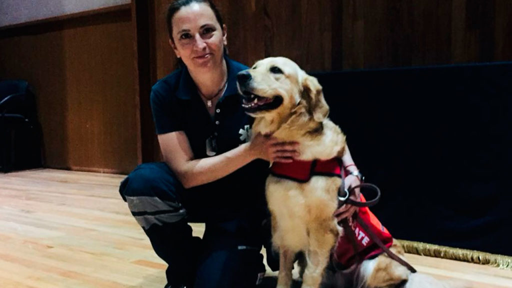 Muere Nalah, perrita rescatista del sismo de 2017, en redes la confunden con Frida