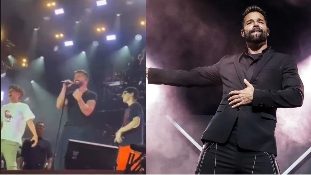 Los mellizos tomaron por sorpresa al público y al mismo Ricky Martin al subir al escenario, robándose el show de su padre.