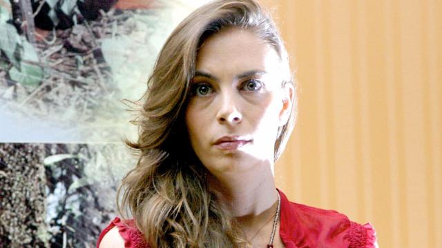 La nostalgia se apodera de los corazones de los fans de Timbiriche, ya que Sasha Sokol anuncia su regreso a los escenarios. 