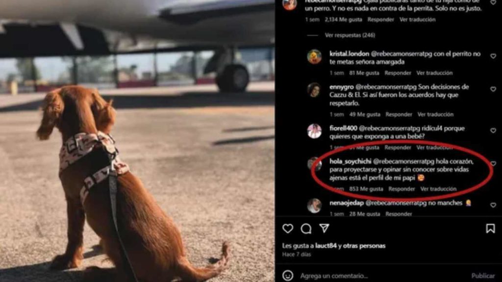 ¡Christian Nodal responde a las críticas por "abandonar" a su hija por su nueva mascota!