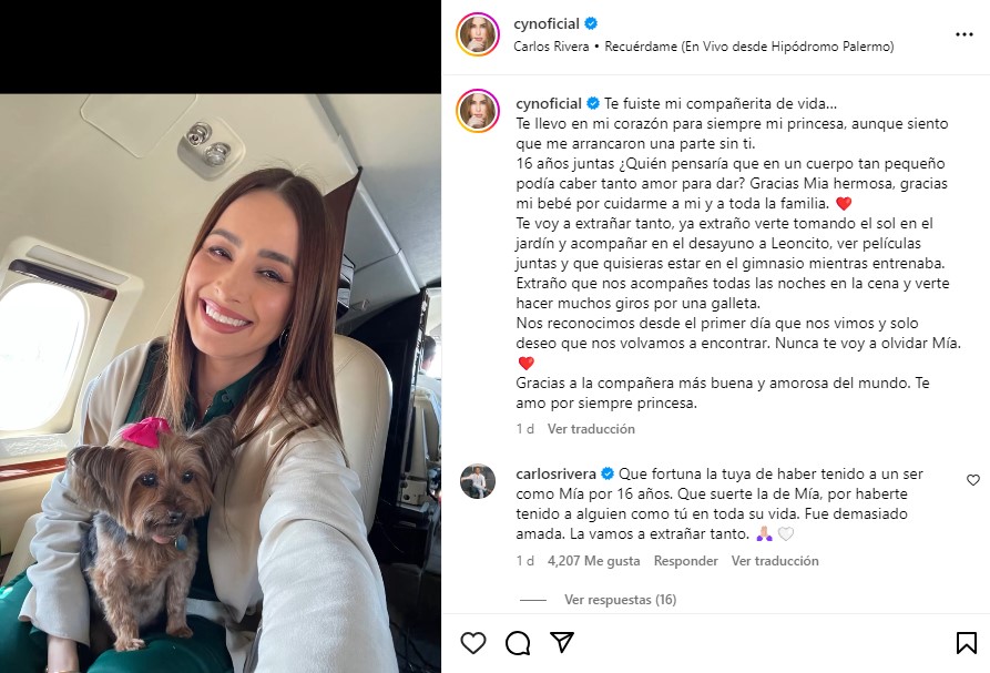 Carlos Rivera y Cynthia Rodríguez se visten de luto tras triste pérdida...